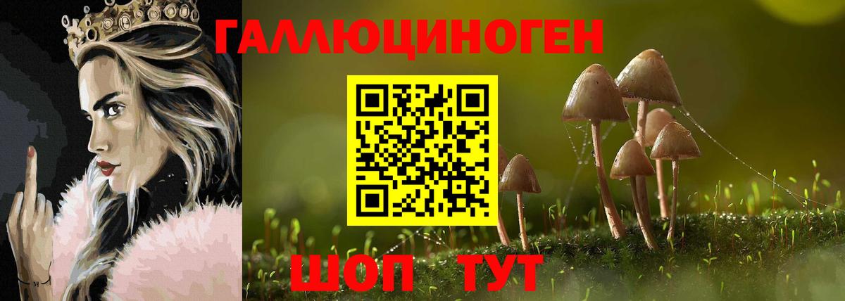Псилоцибиновые грибы прущие грибы  Вход с VPN  Кемерово  Галлюциногенные грибы ЛСД 